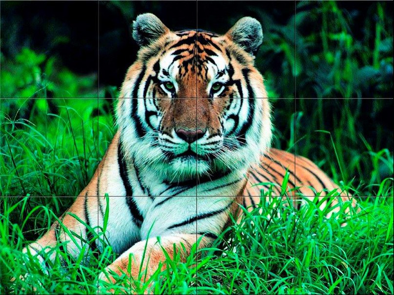 Панно Тигр